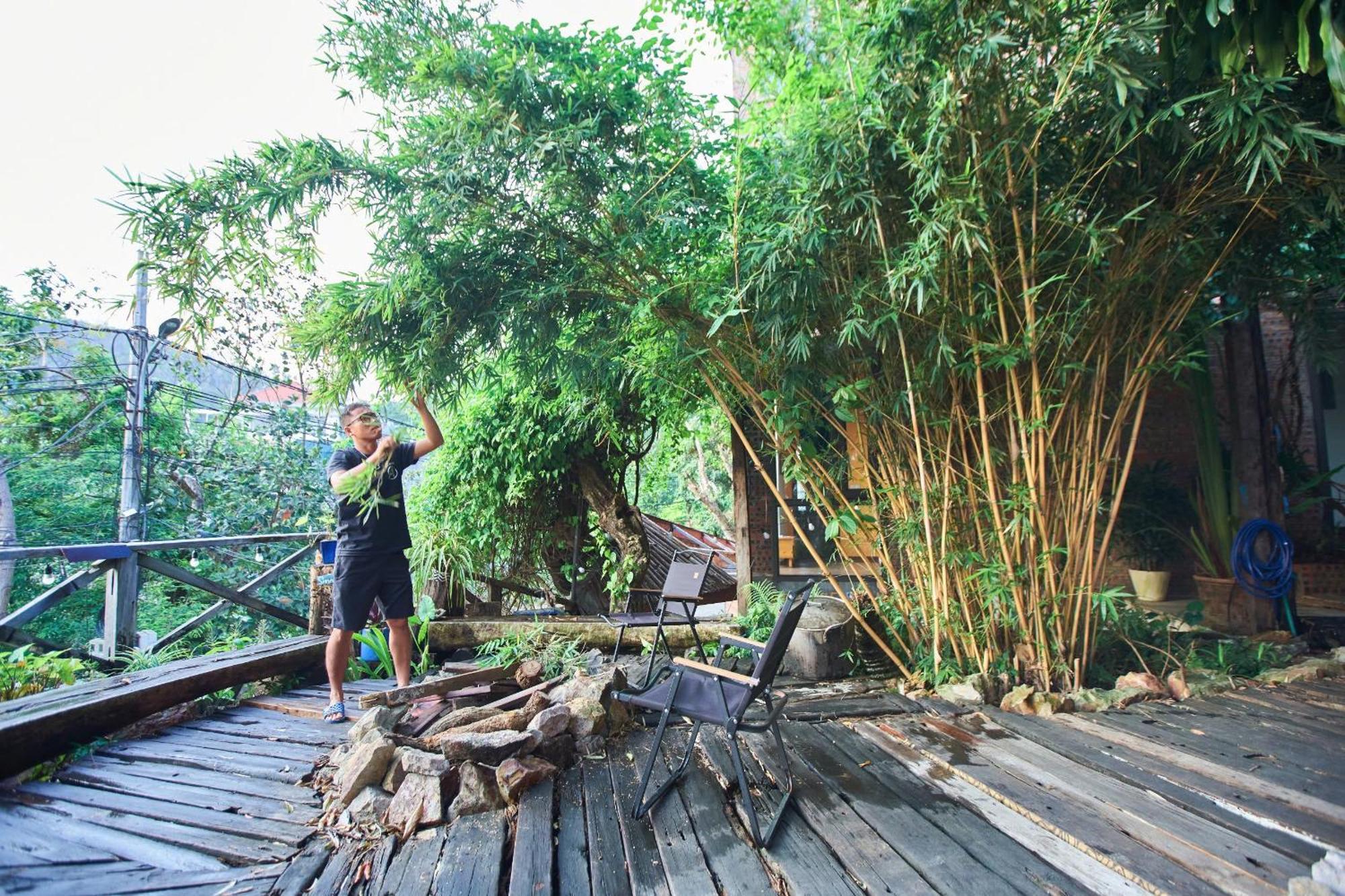 Homestay Eco May5 Travel Ha Long Zewnętrze zdjęcie